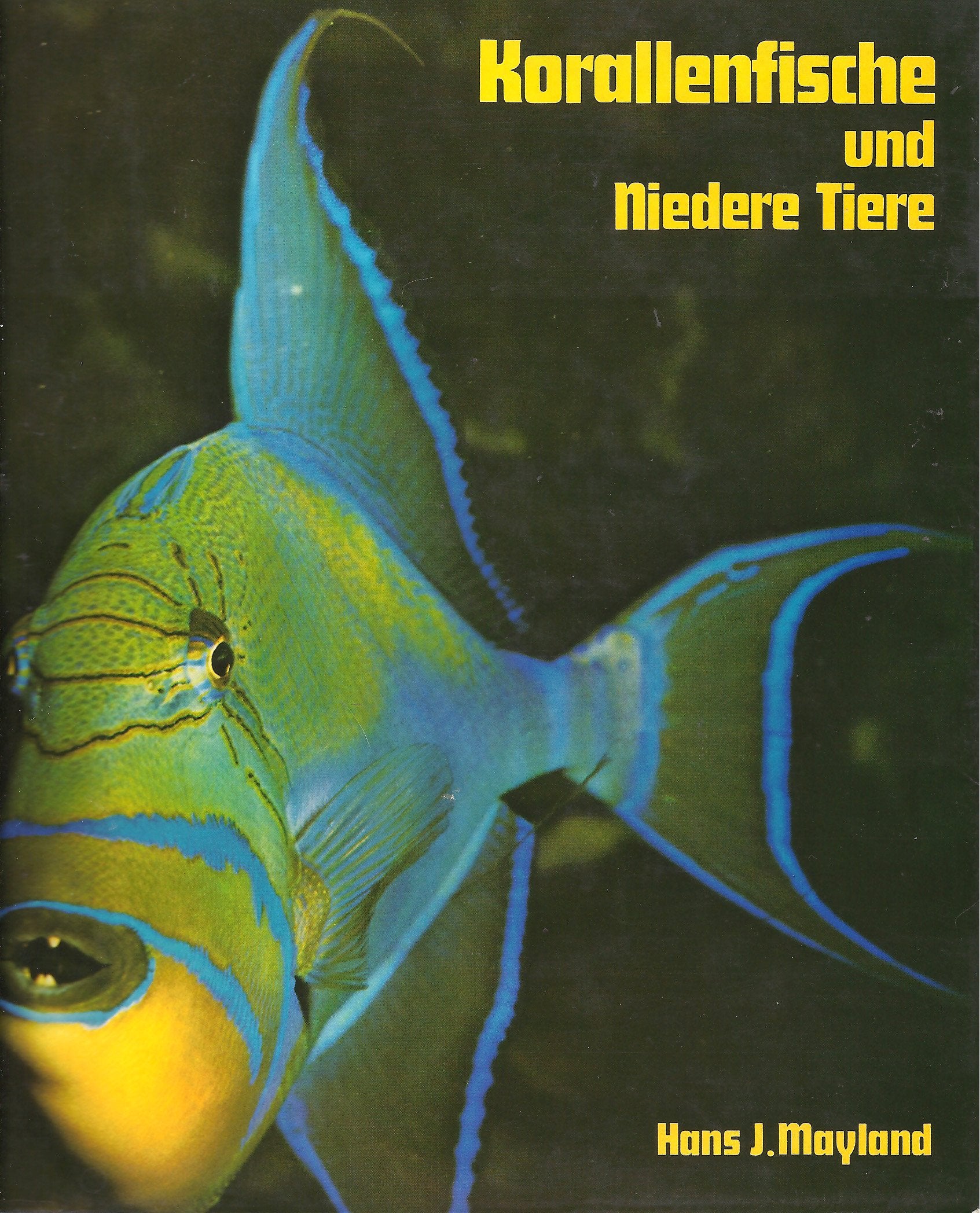 Korallenfische und Niedere Tiere. Vom tropischen Riff zum Aquarium Natural Sciences