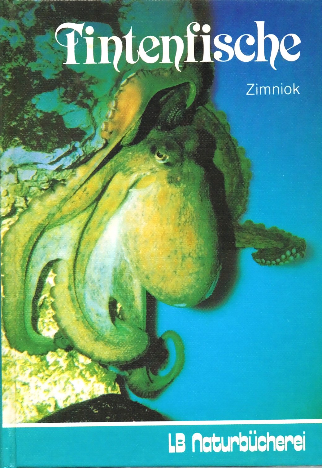 Product Image: Tintenfische