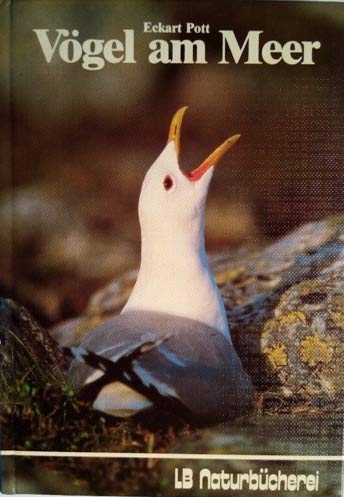 Product Image: Vögel am Meer
