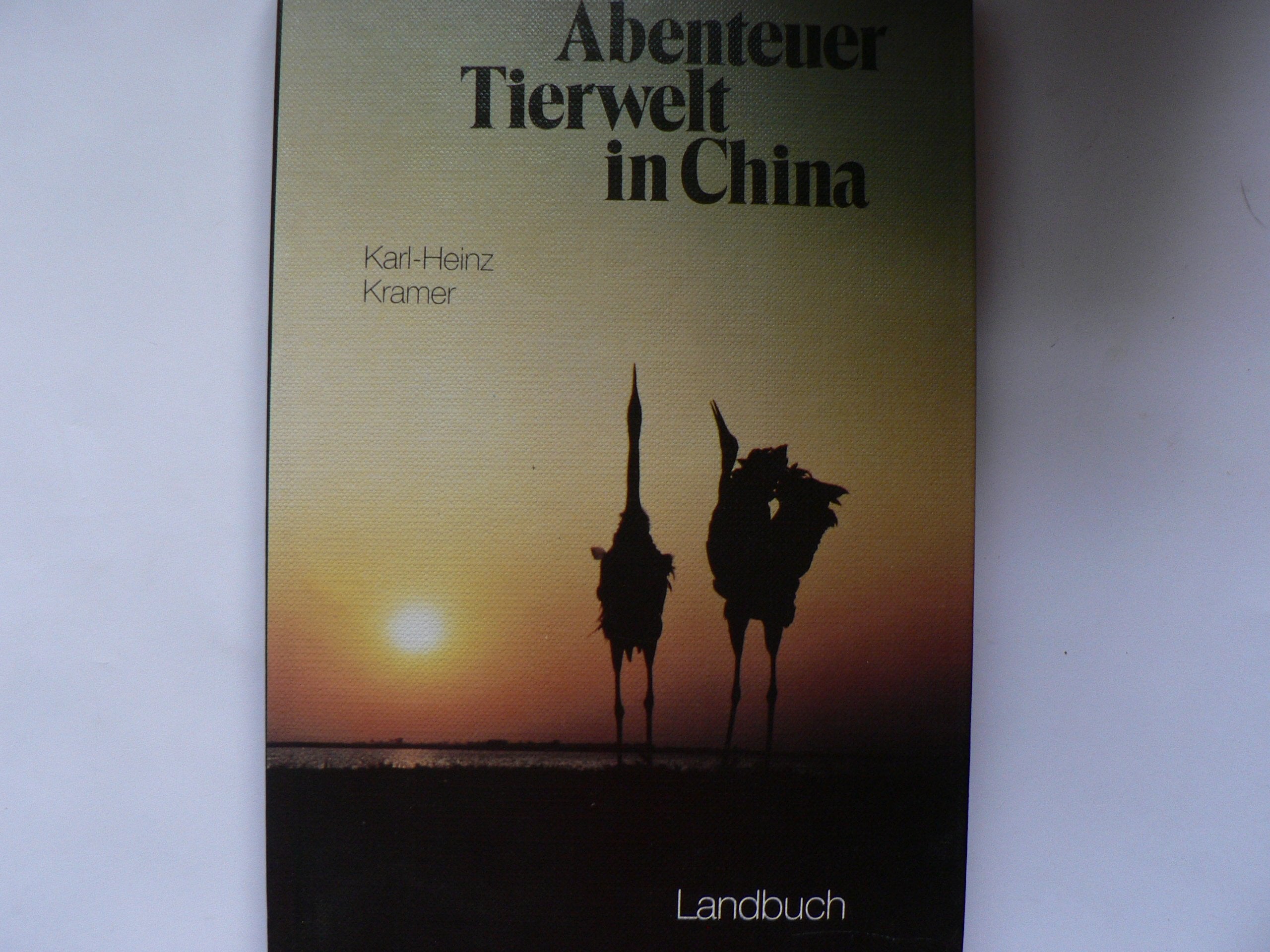 Abenteuer Tierwelt in China: Als Tierfilmpioniere im Reich der Mitte Books