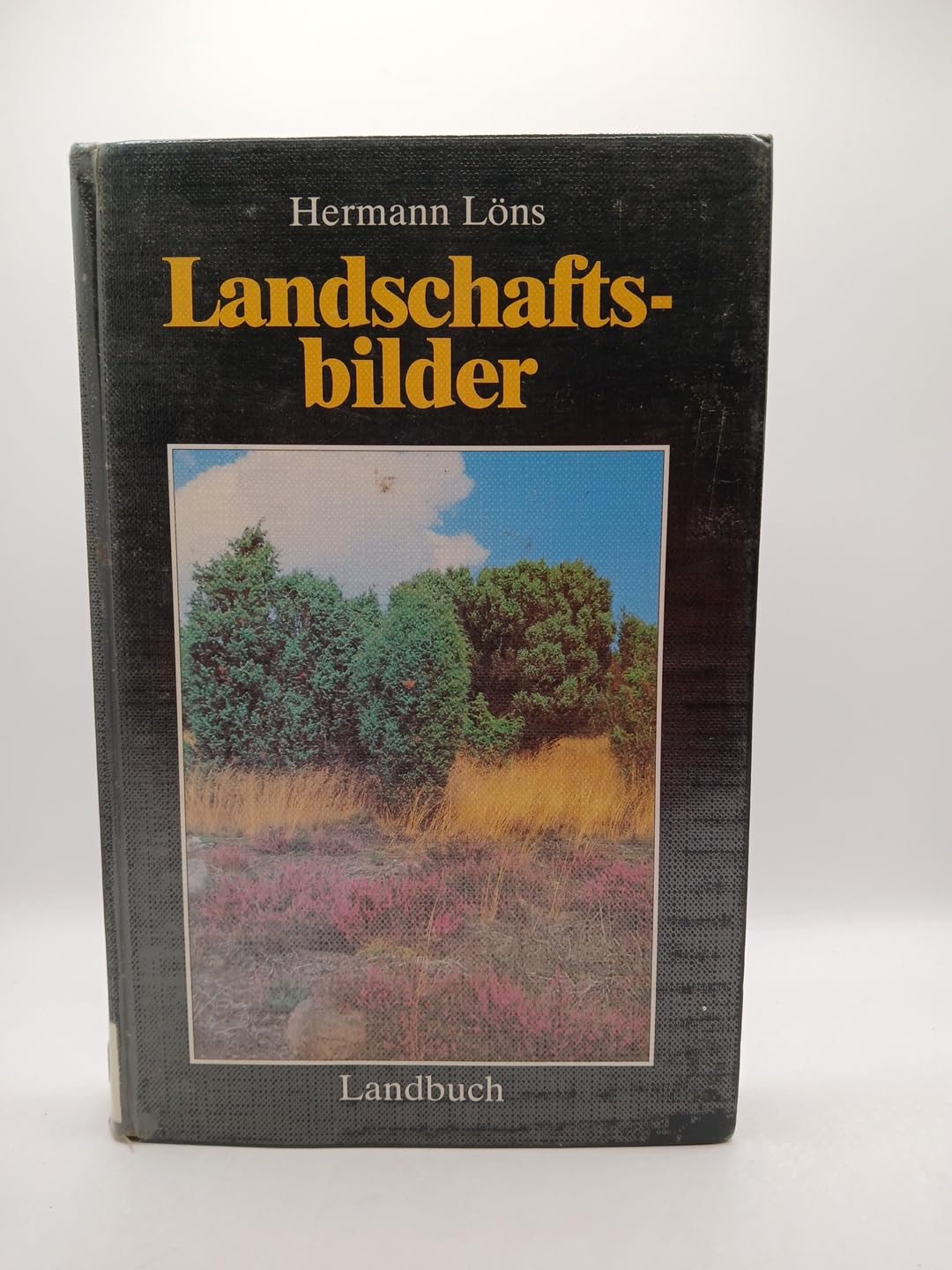 Landschaftsbilder: Nach der Originalausgabe von Wilhelm Deimann. Neu bearb., erg. u. Vorw. v. Heinz E. A. Koch Film, Art & Culture