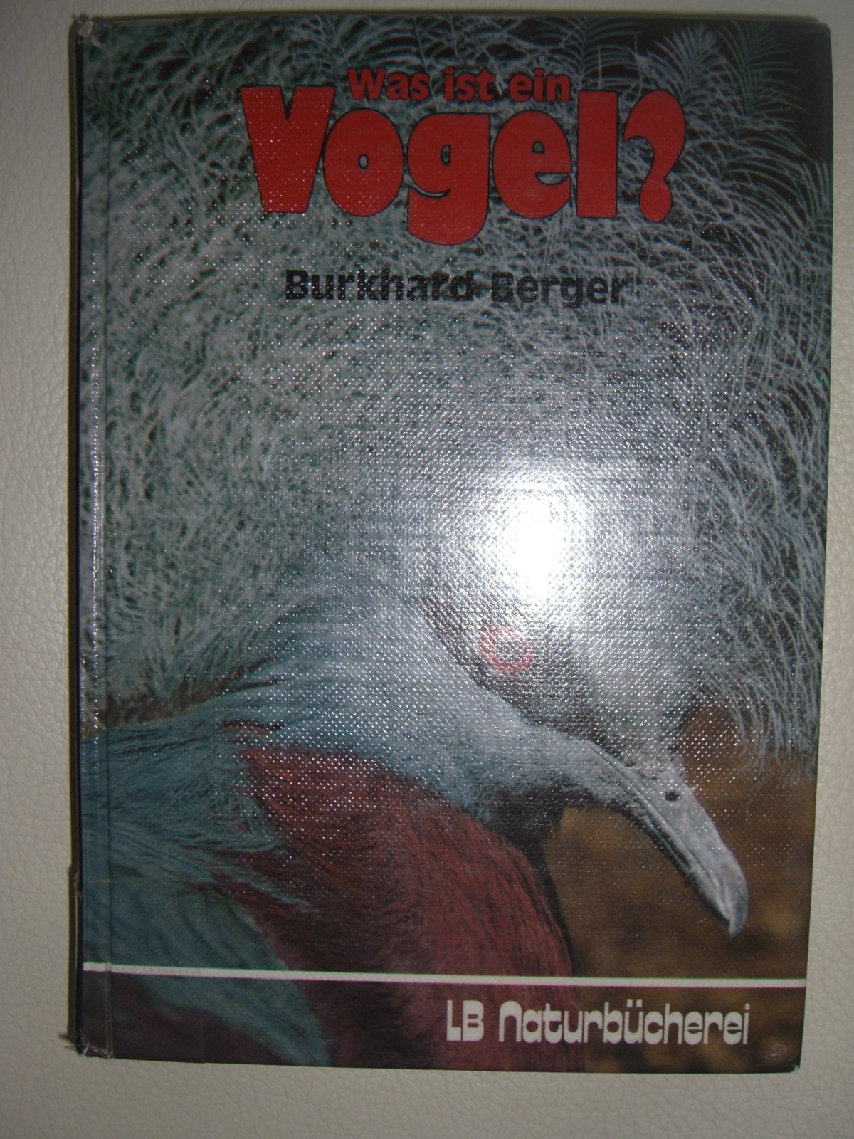 Was ist ein Vogel?. Einführung in Anatomie, Physiologie, Ökologie Medicine