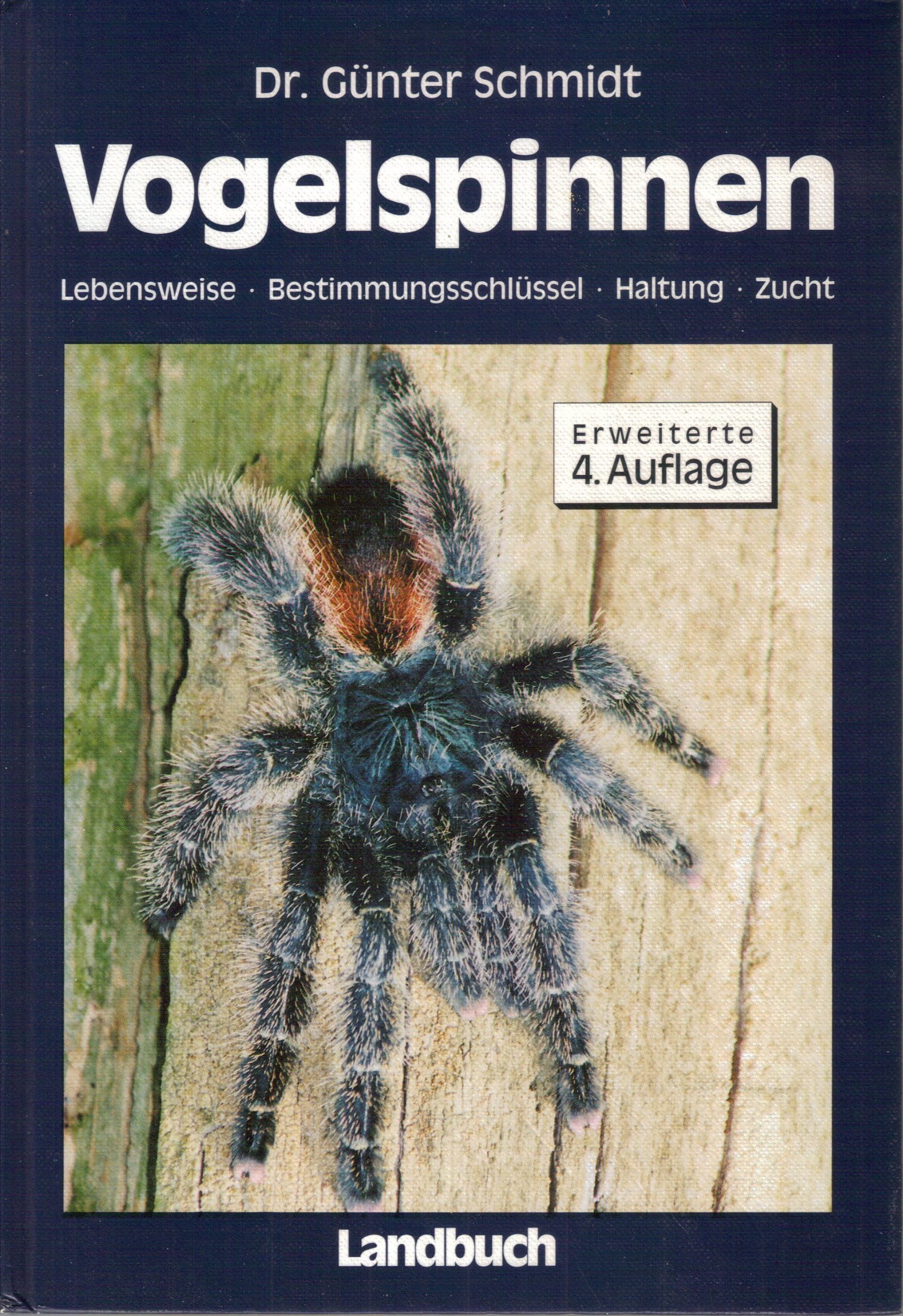Vogelspinnen Natural Sciences