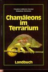 Chamäleons im Terrarium Pets