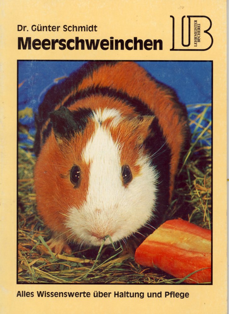 Product Image: Meerschweinchen