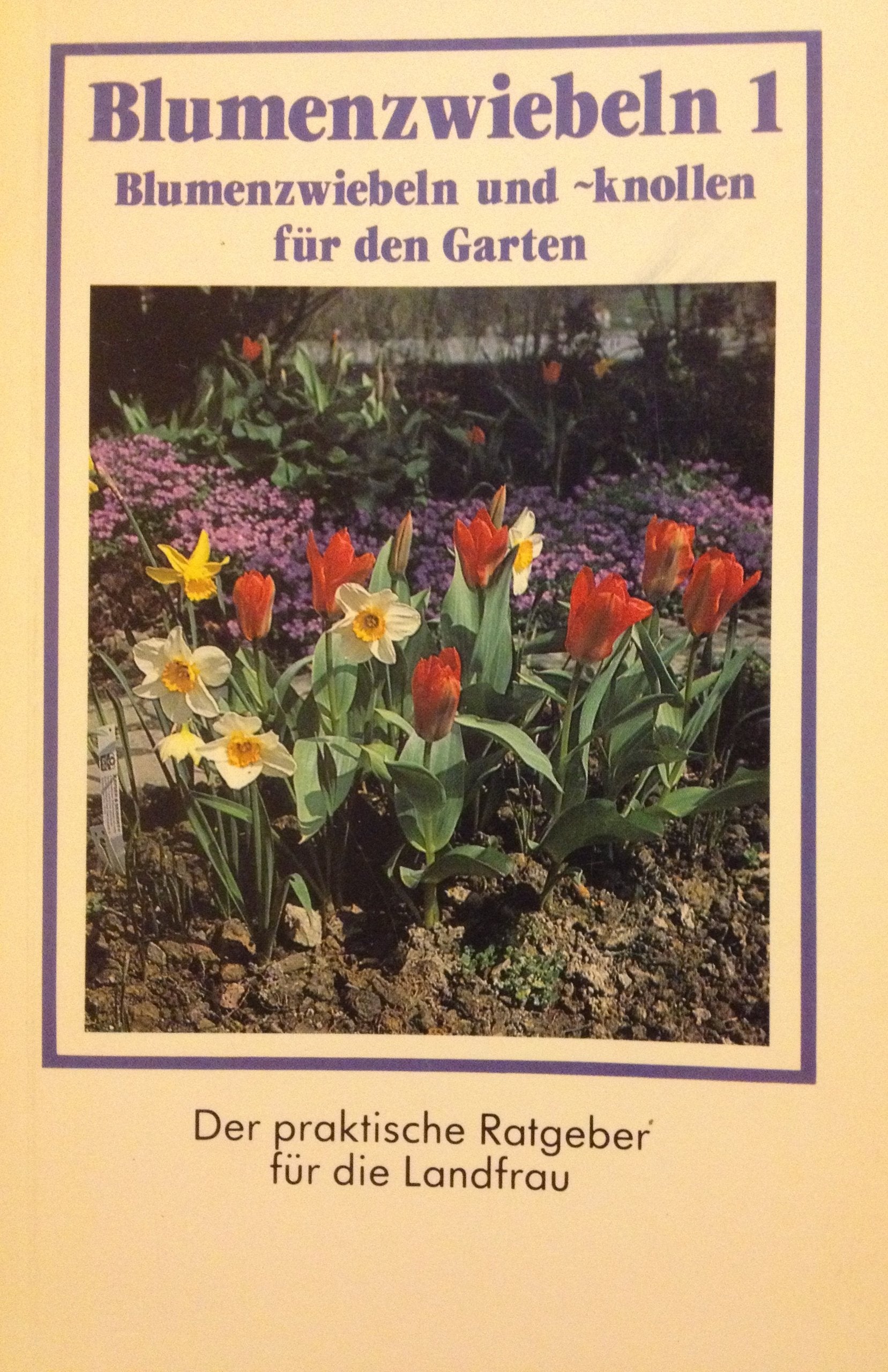 Blumenzwiebeln: Blumenzwiebeln und -knollen für den Garten Leisure, Home & Garden