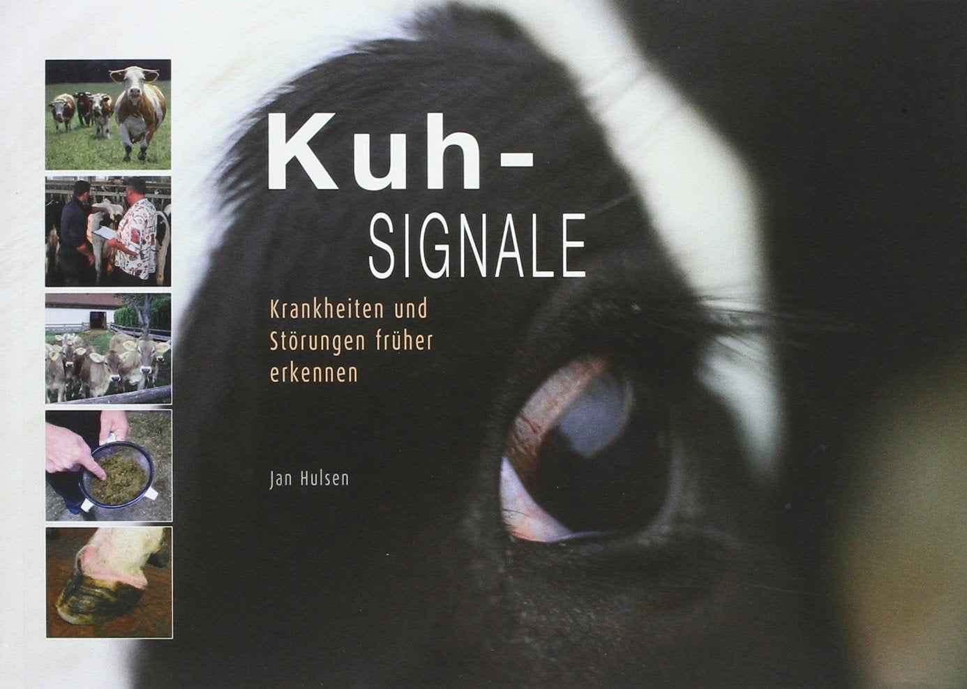Product Image: Kuh-Signale