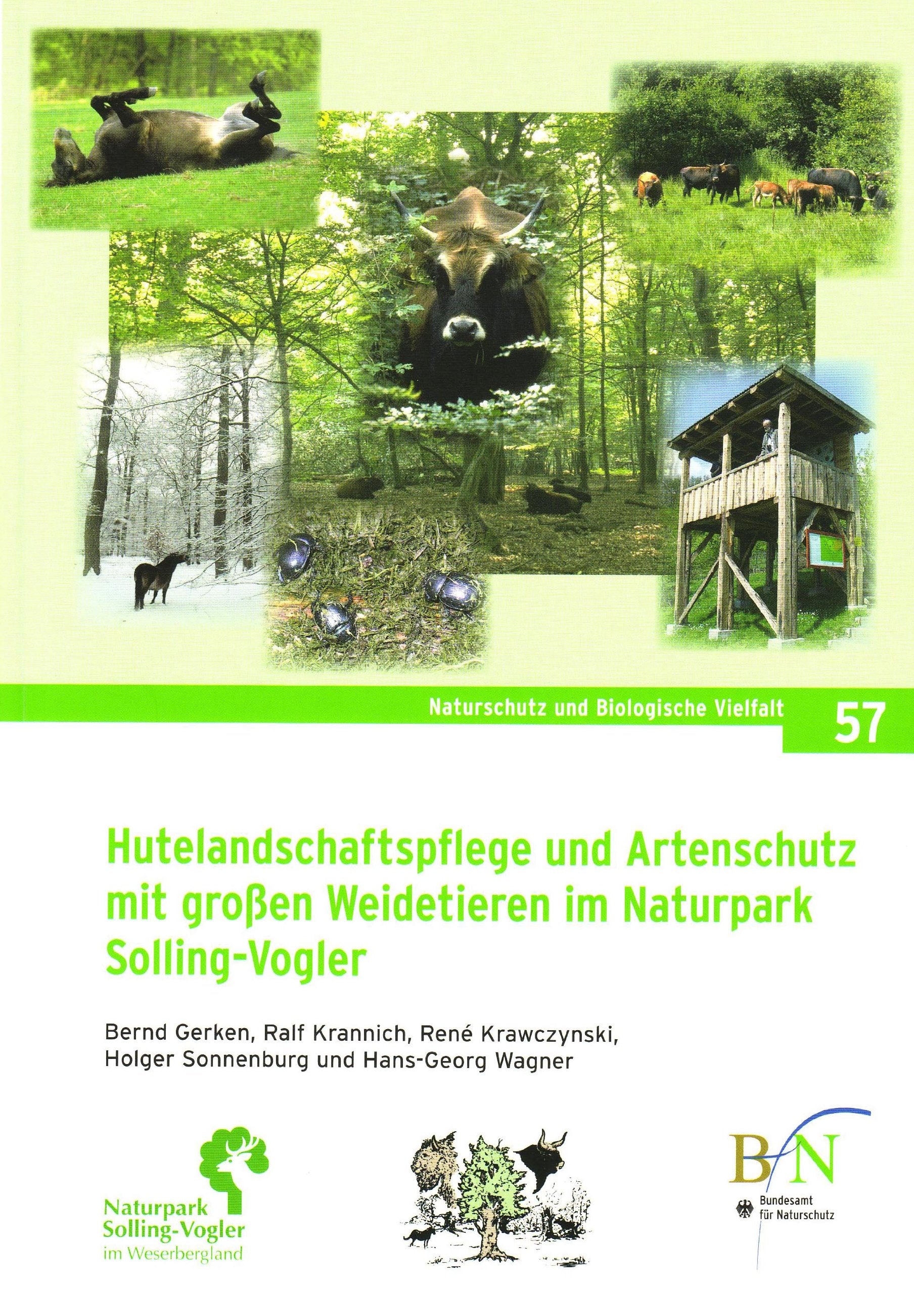 Hutelandschaftspflege und Artenschutz mit großen Weidetieren im Naturpark Solling-Vogler (Naturschutz und Biologische Vielfalt) Natural Sciences