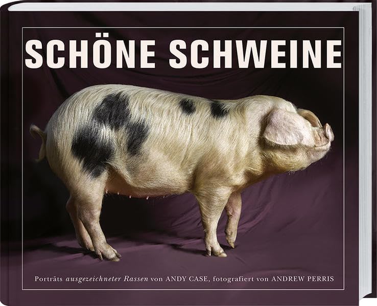 Schöne Schweine: Porträts ausgezeichneter Rassen von Andy Case, fotografiert von Andrew Perris. Contemporary literature