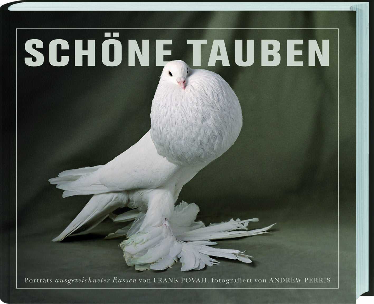 Schöne Tauben Natural Sciences Books
