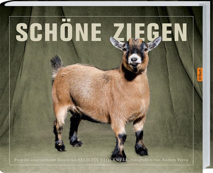 Schöne Ziegen Film, Art & Culture