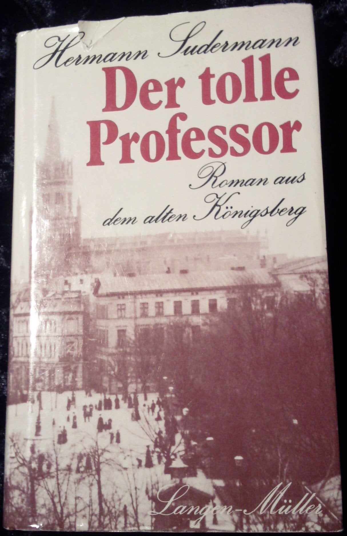 Der tolle Professor Books