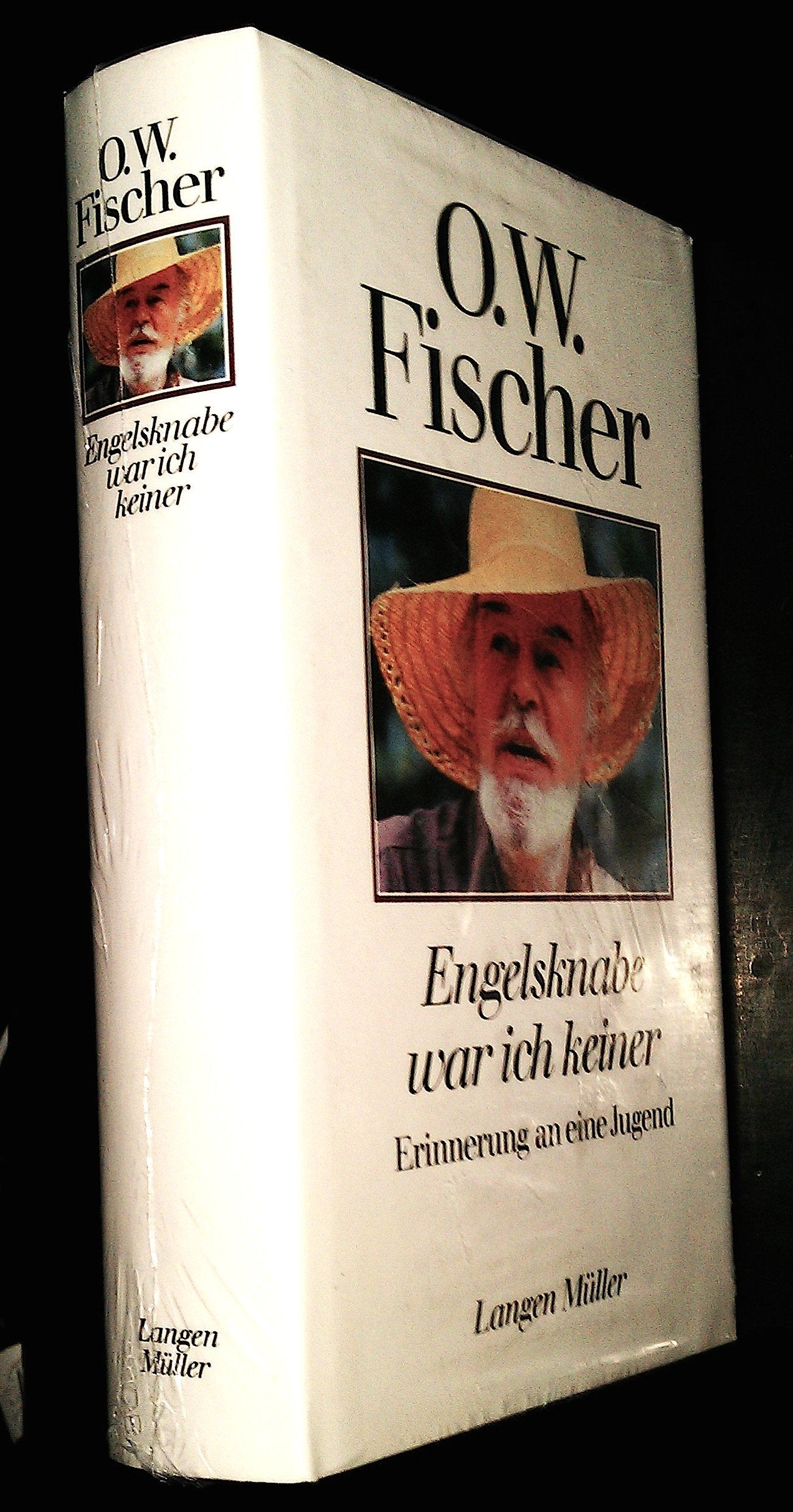 Engelsknabe war ich keiner: Erinnerung an eine Jugend Books