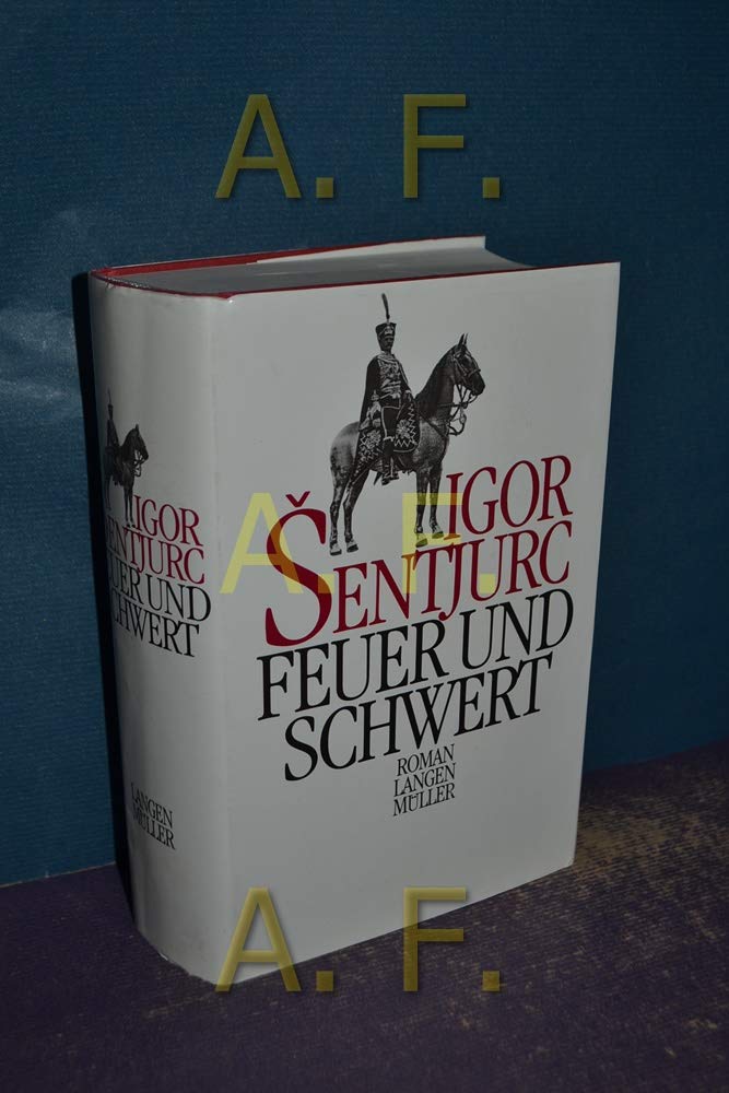 Feuer und Schwert Contemporary literature Books