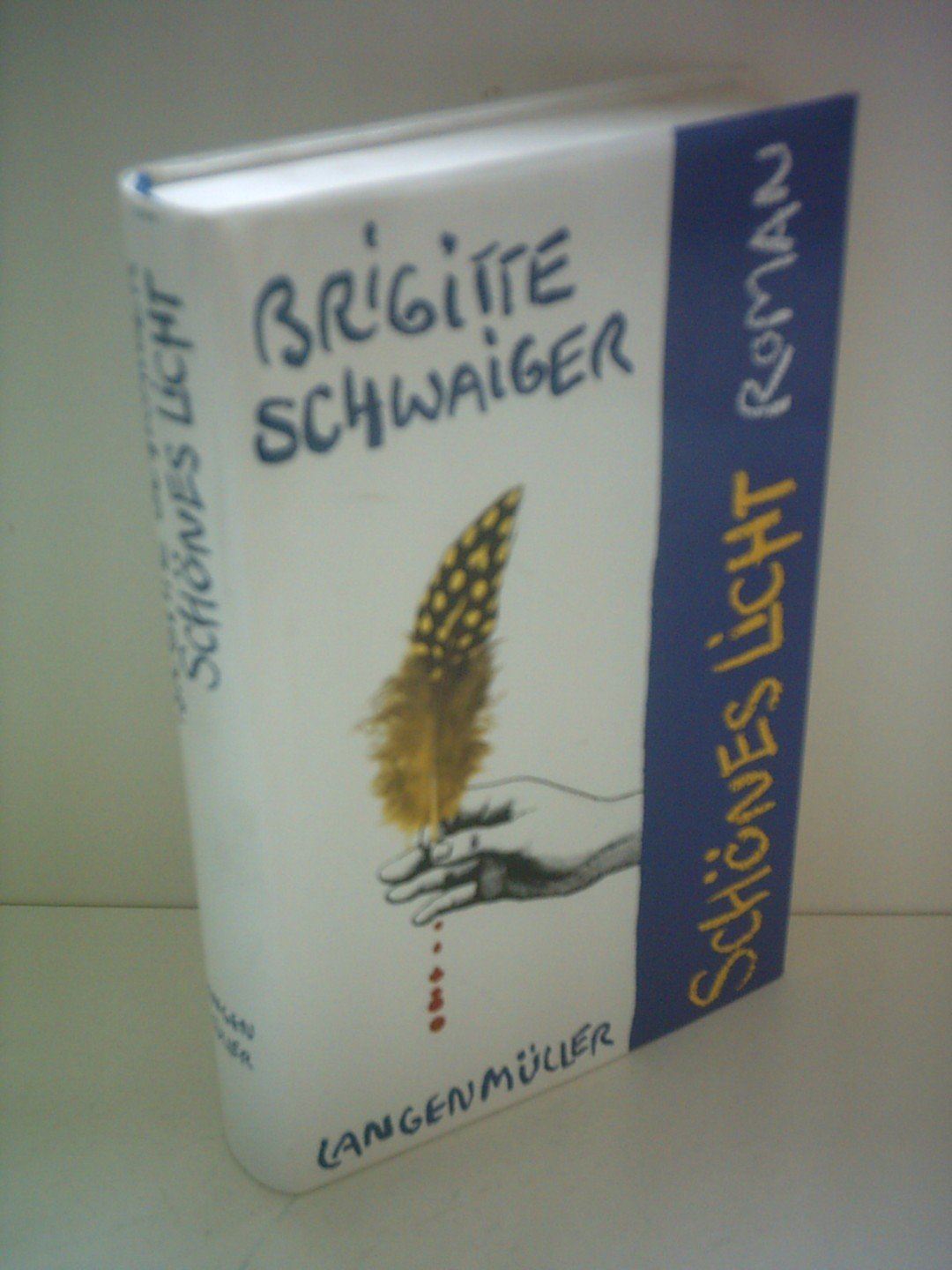 Schönes Licht: Roman Contemporary literature
