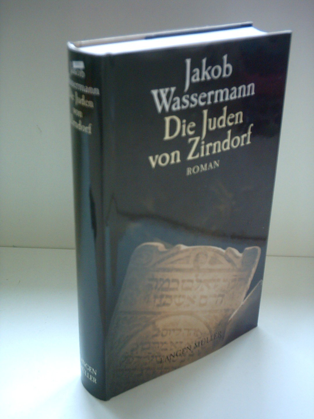 Die Juden von Zirndorf: Roman. Mit dem Essay "Mein Weg als Deutscher und Jude" Contemporary literature