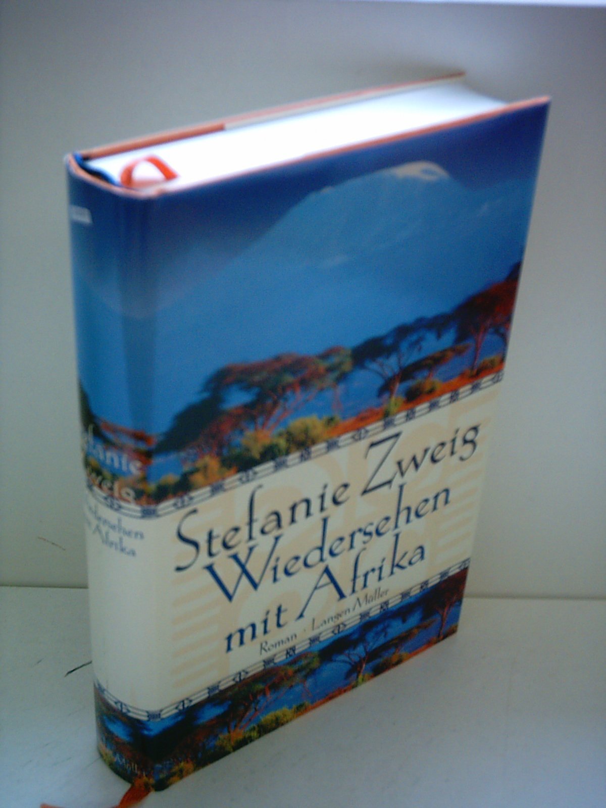 Wiedersehen mit Afrika Contemporary literature