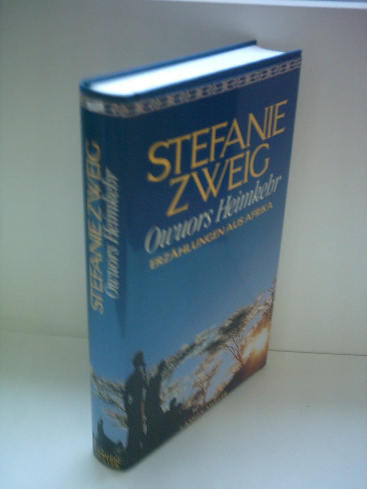 Owuors Heimkehr Essays & Short Stories
