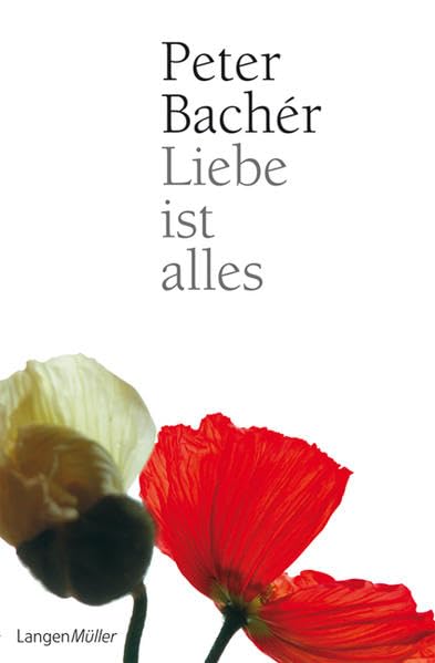 Liebe ist alles: Die Sehnsucht nach den alten Werten Contemporary literature