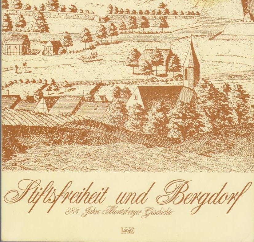 Stiftsfreiheit und Bergdorf. 883 Jahre Motitzer Geschichte book
