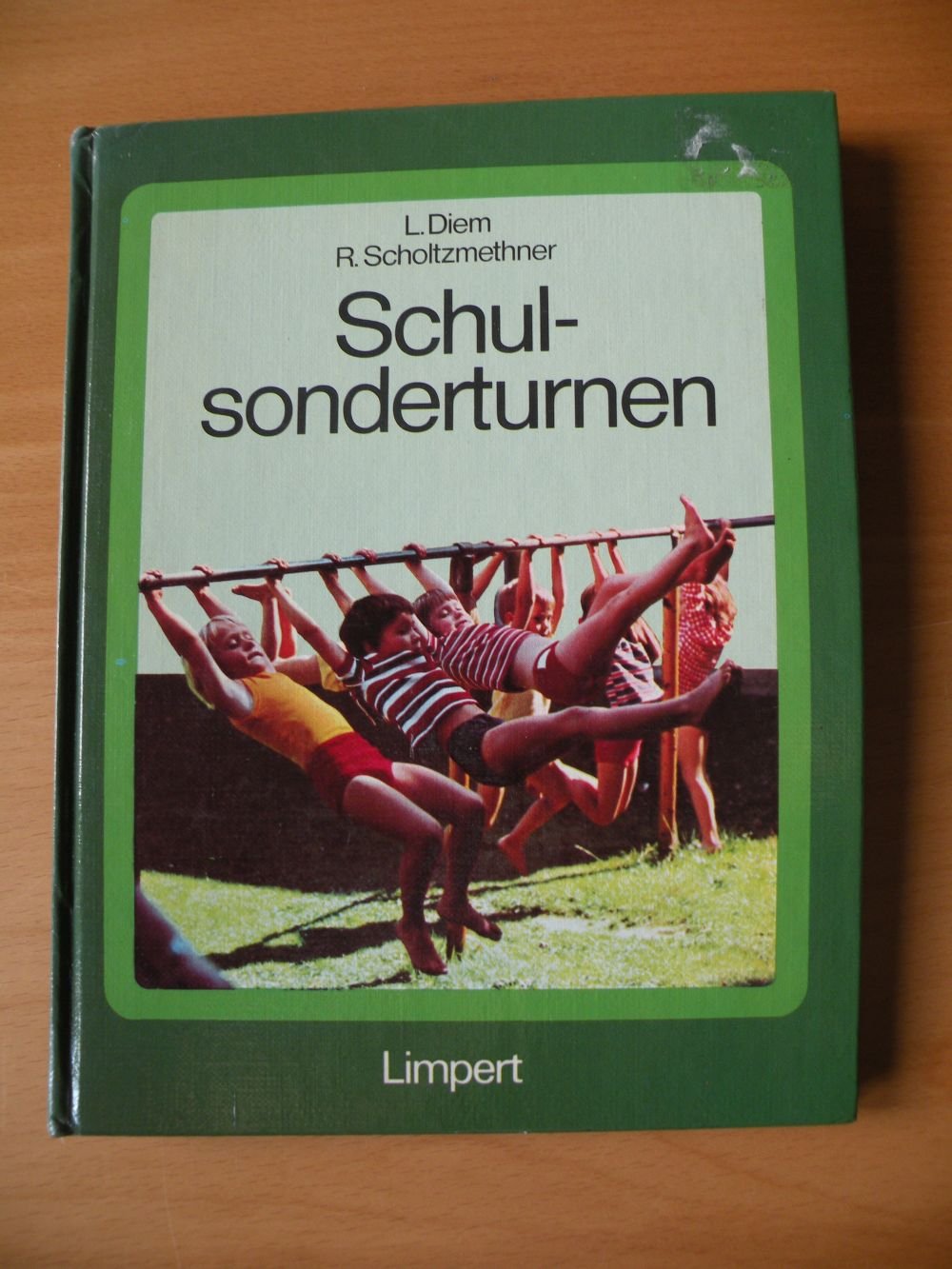 Schulsonderturnen Books