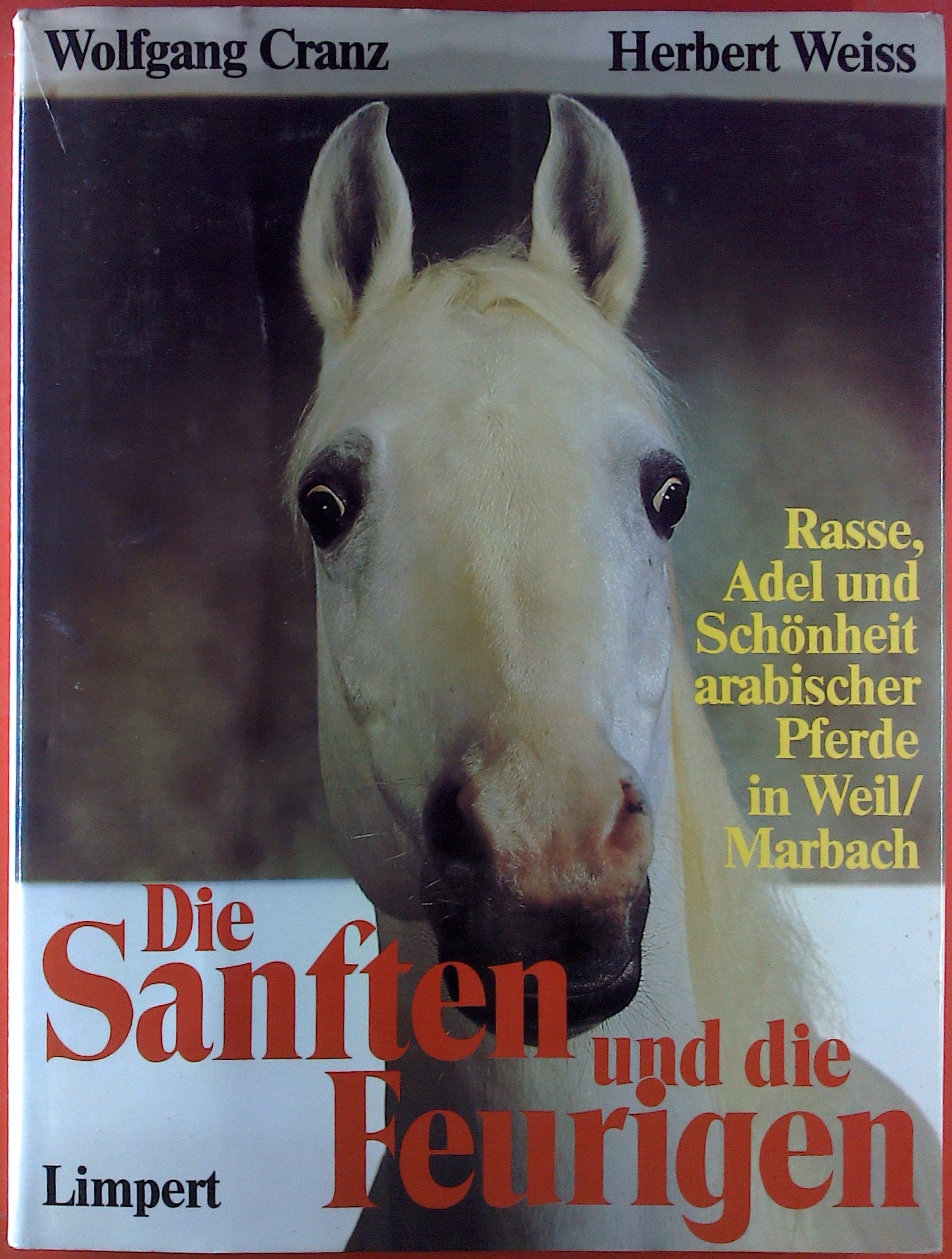 Die Sanften und die Feurigen. Rasse, Adel und Schönheit arabischer Pferde in Weil/ Marbach Film, Art & Culture