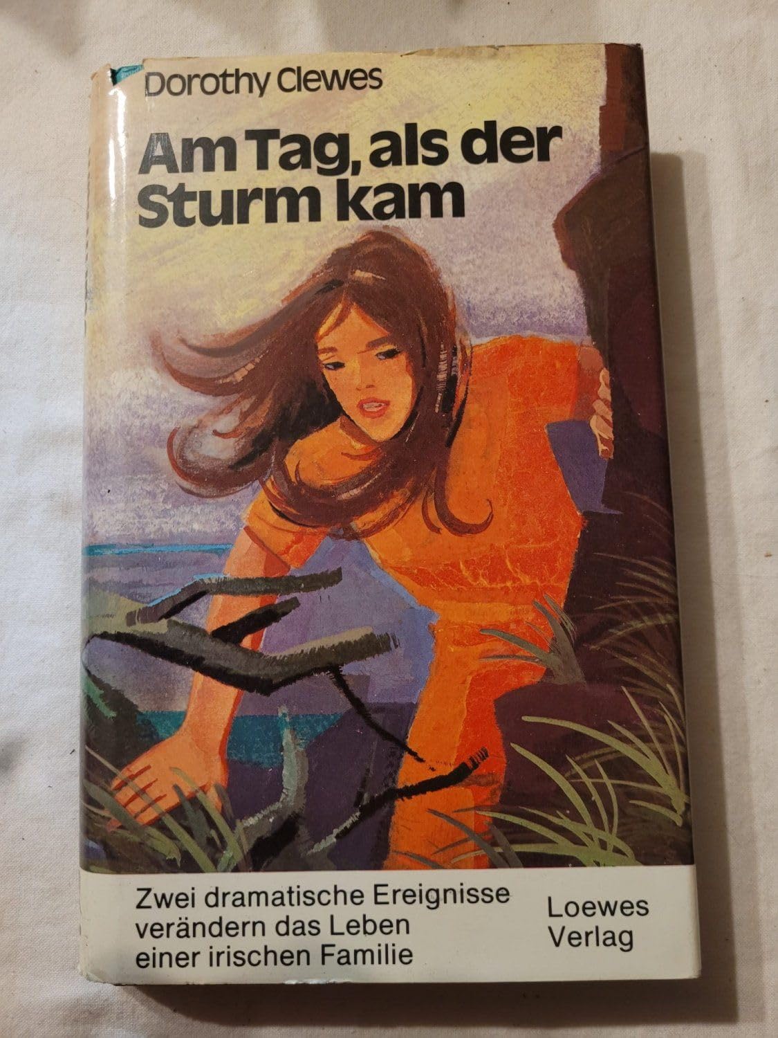 Am Tag, als der Sturm kam Books