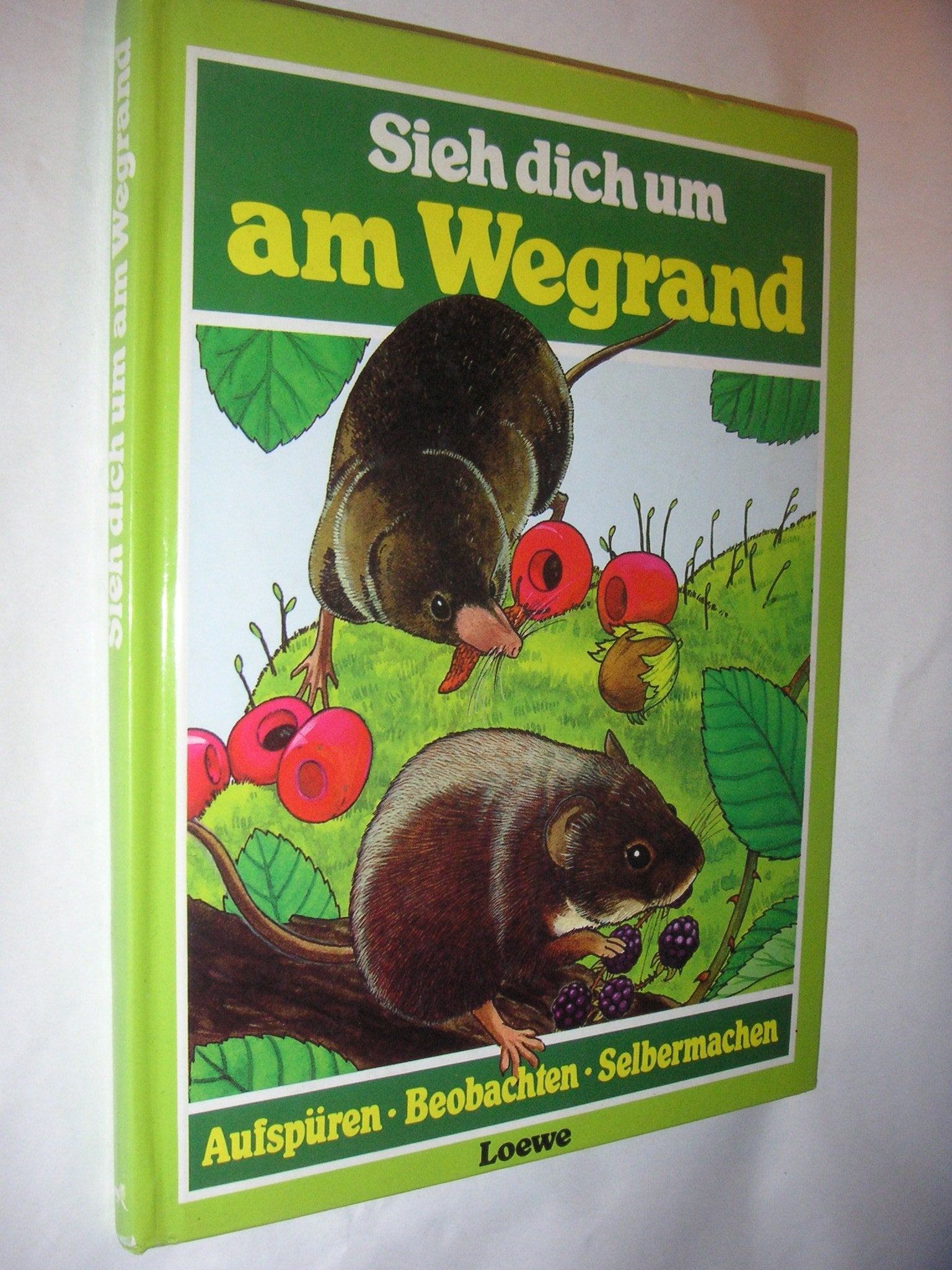 Sieh dich um am Wegrand Books