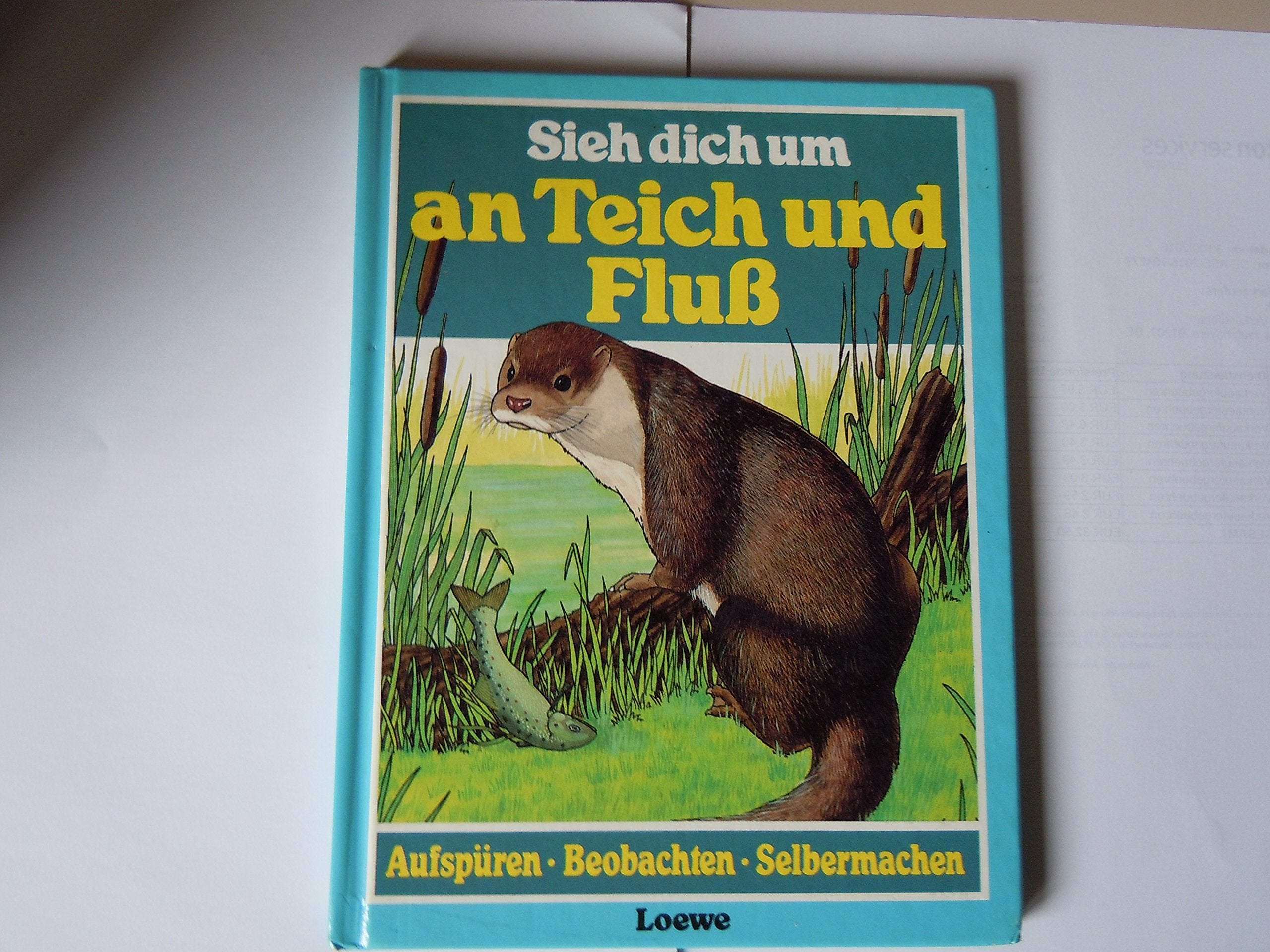 Sieh dich um an Teich und Fluss Books