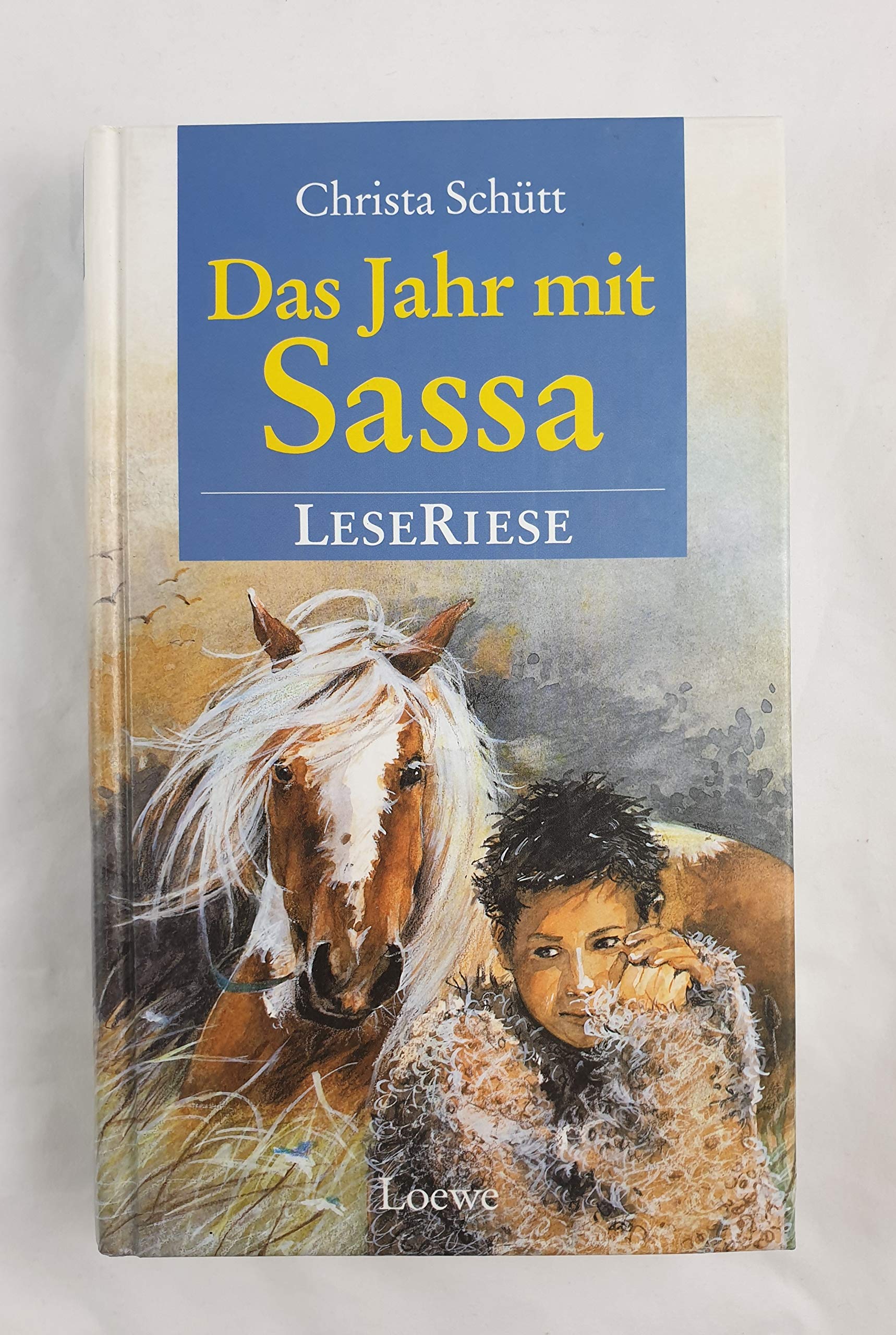 Das Jahr mit Sassa Fantasy & Sci-Fi for children