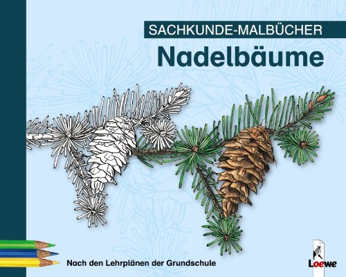 Nadelbäume Education