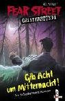 Gib Acht um Mitternacht: Ein Schattenwelt-Roman Novels & Short Stories