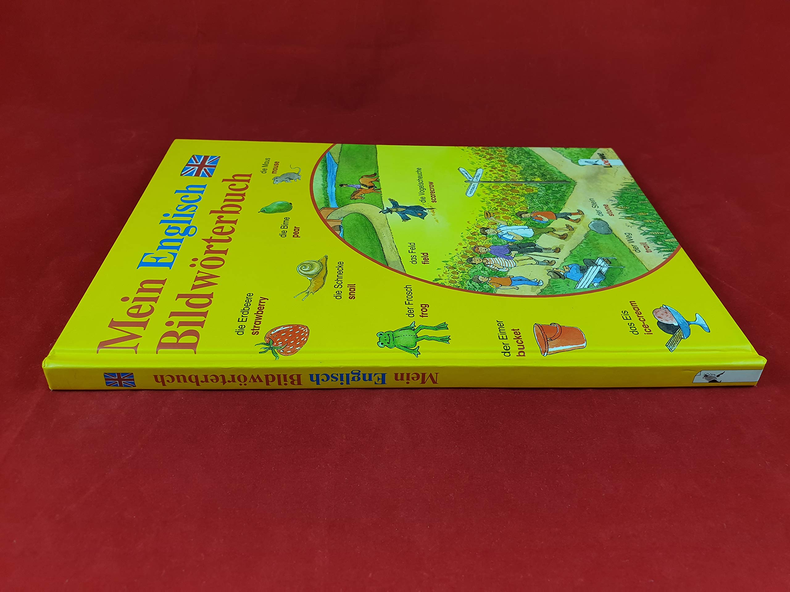 Mein Englisch-Bildwörterbuch: Spielerisch Sprachen lernen Learning & Reference