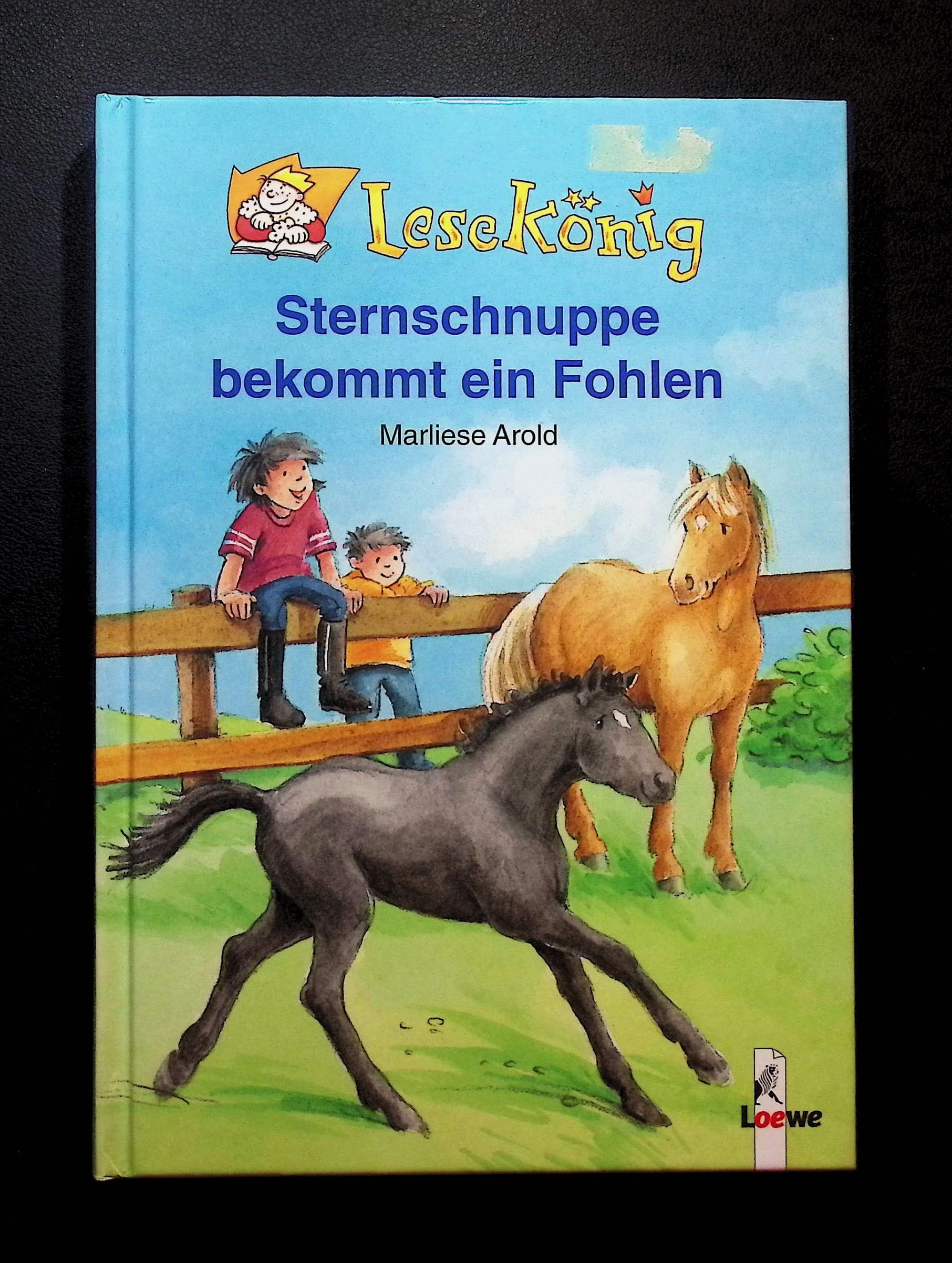 Product Image: Sternschnuppe bekommt ein Fohlen
