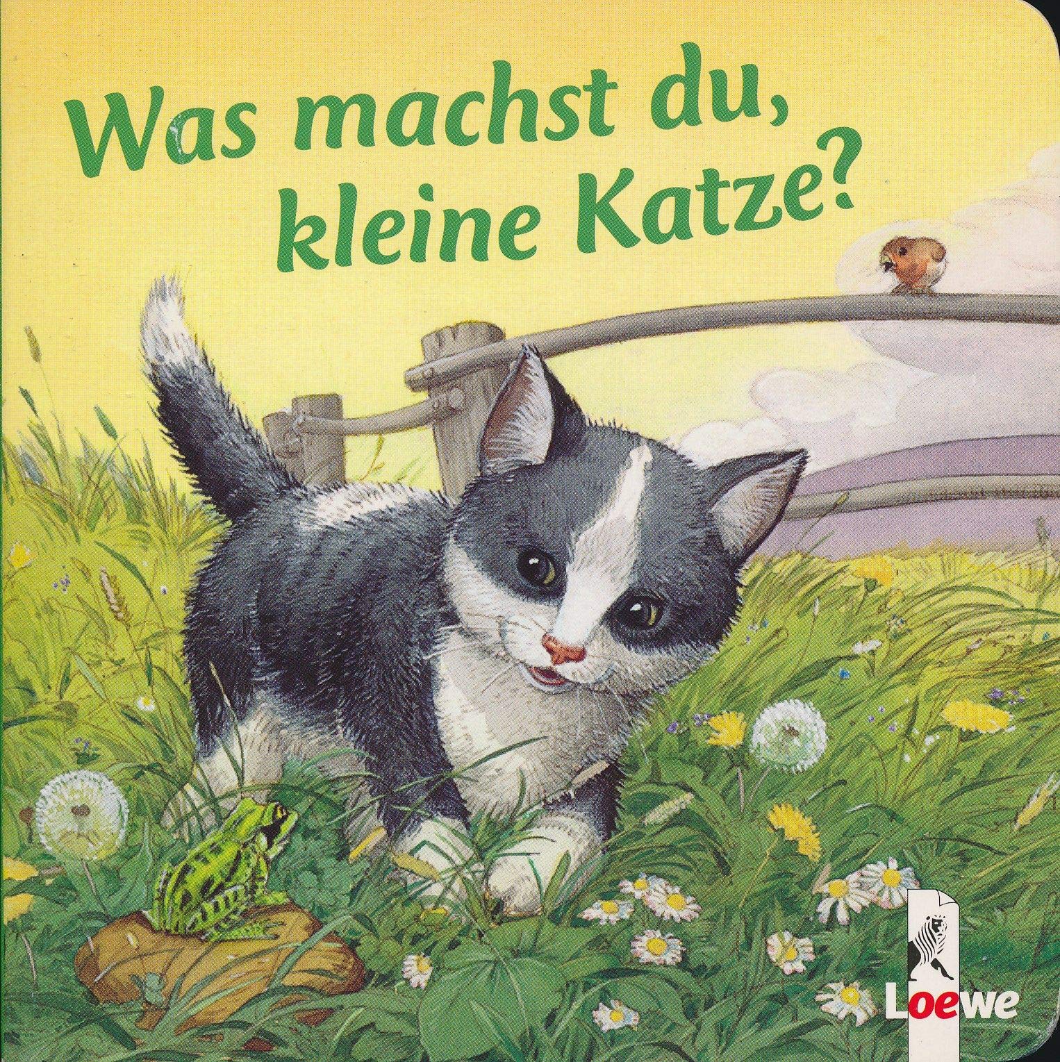 Was machst du, kleine Katze?: Kleine Geschichten von kleinen Tieren Children's books