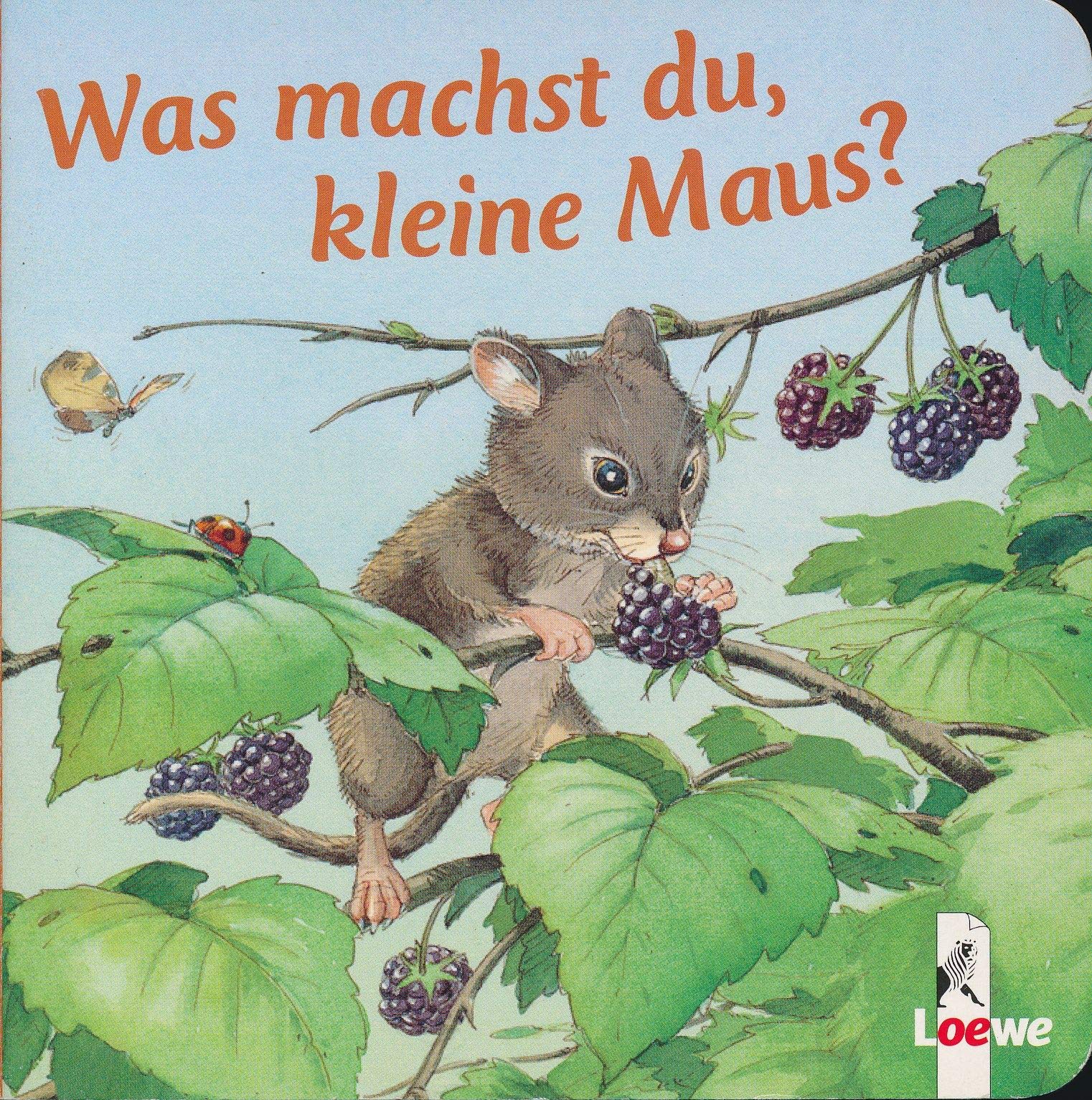 Was machst du, kleine Maus?: Kleine Geschichten von kleinen Tieren Children's books