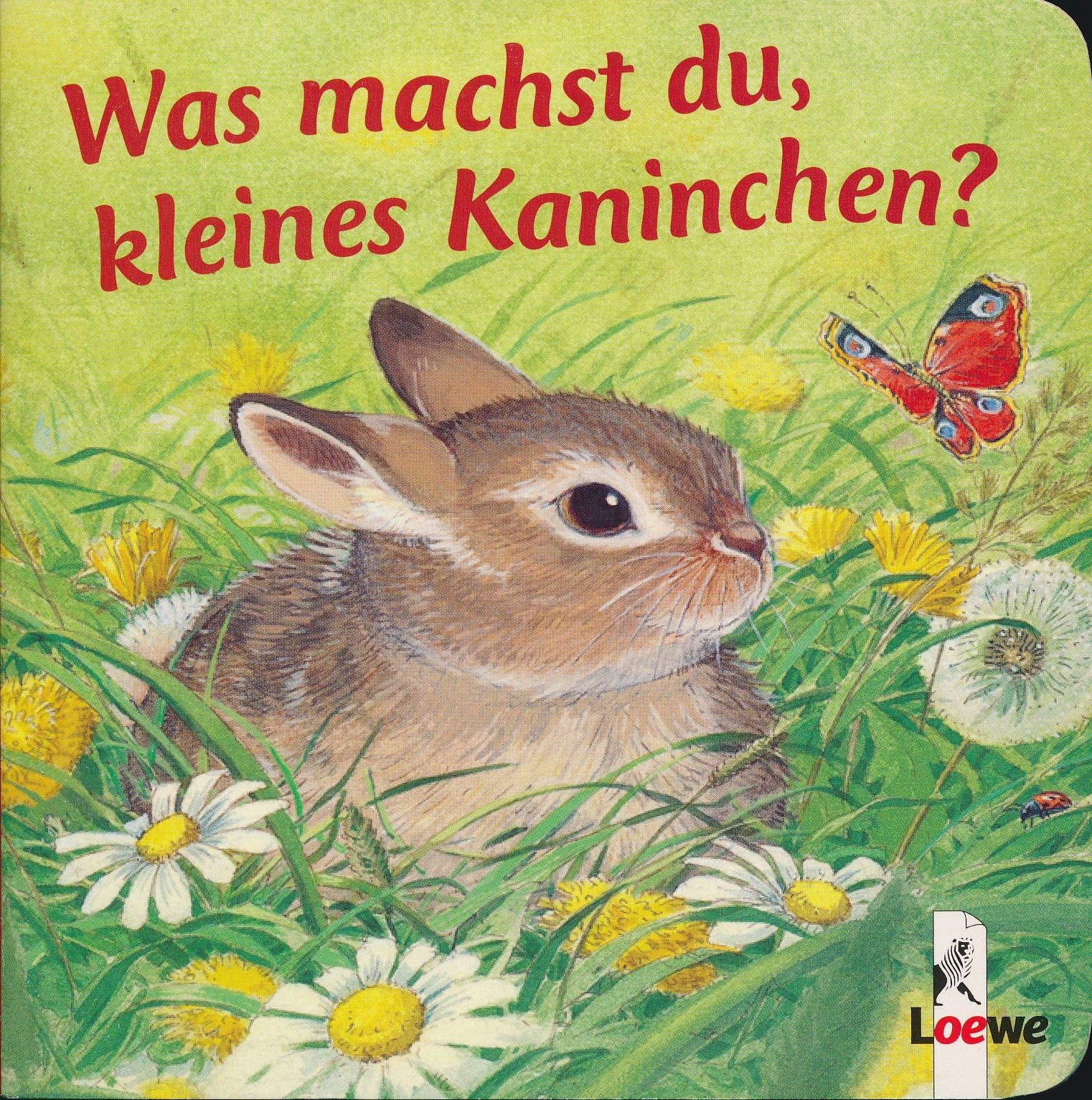 Was machst du, kleines Kaninchen?: Kleine Geschichten von kleinen Tieren Children's books