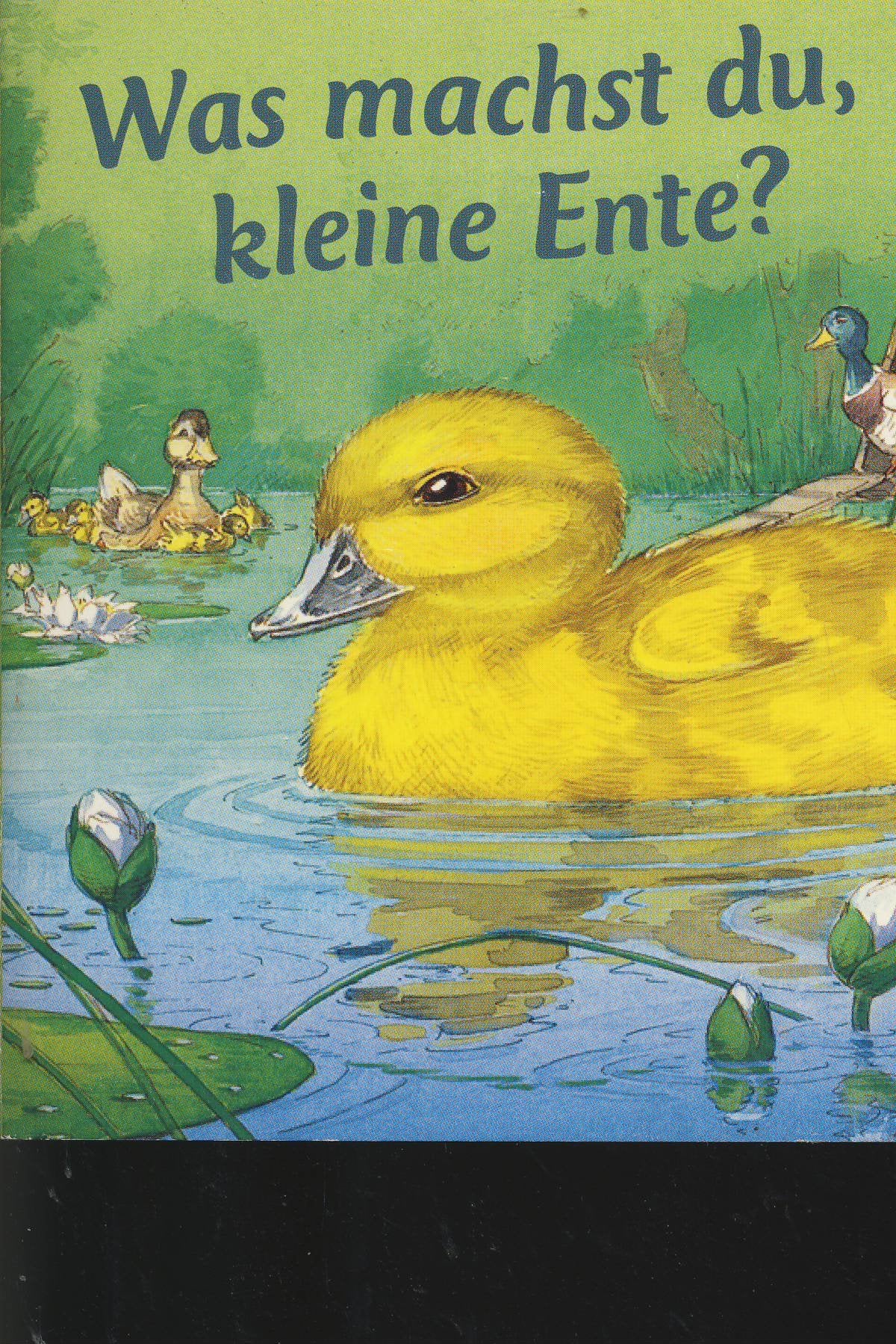 Was machst du, kleine Ente?: Kleine Geschichten von kleinen Tieren Children's books