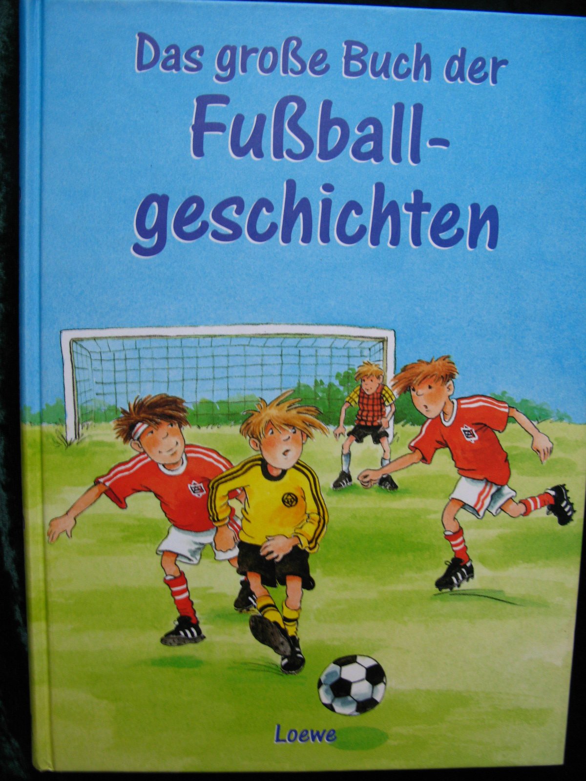 Das grosse Buch der Fussballgeschichten Novels & Short Stories
