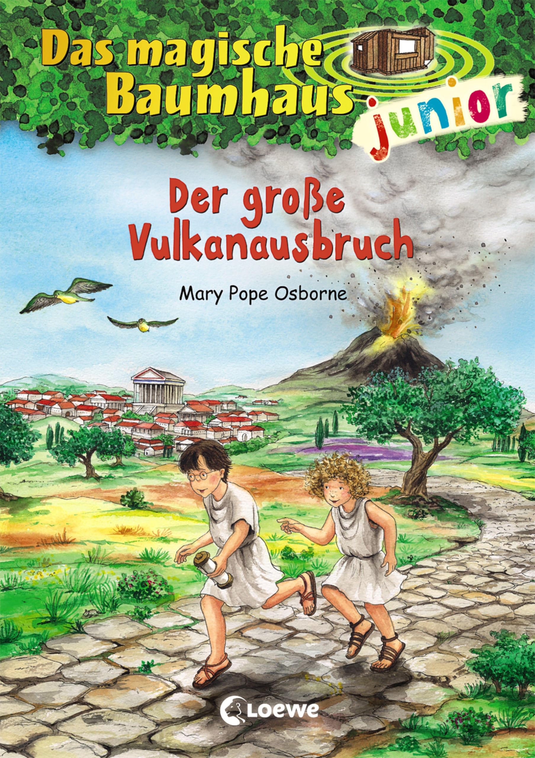 Das magische Baumhaus junior 13 - Der große Vulkanausbruch Politics & History