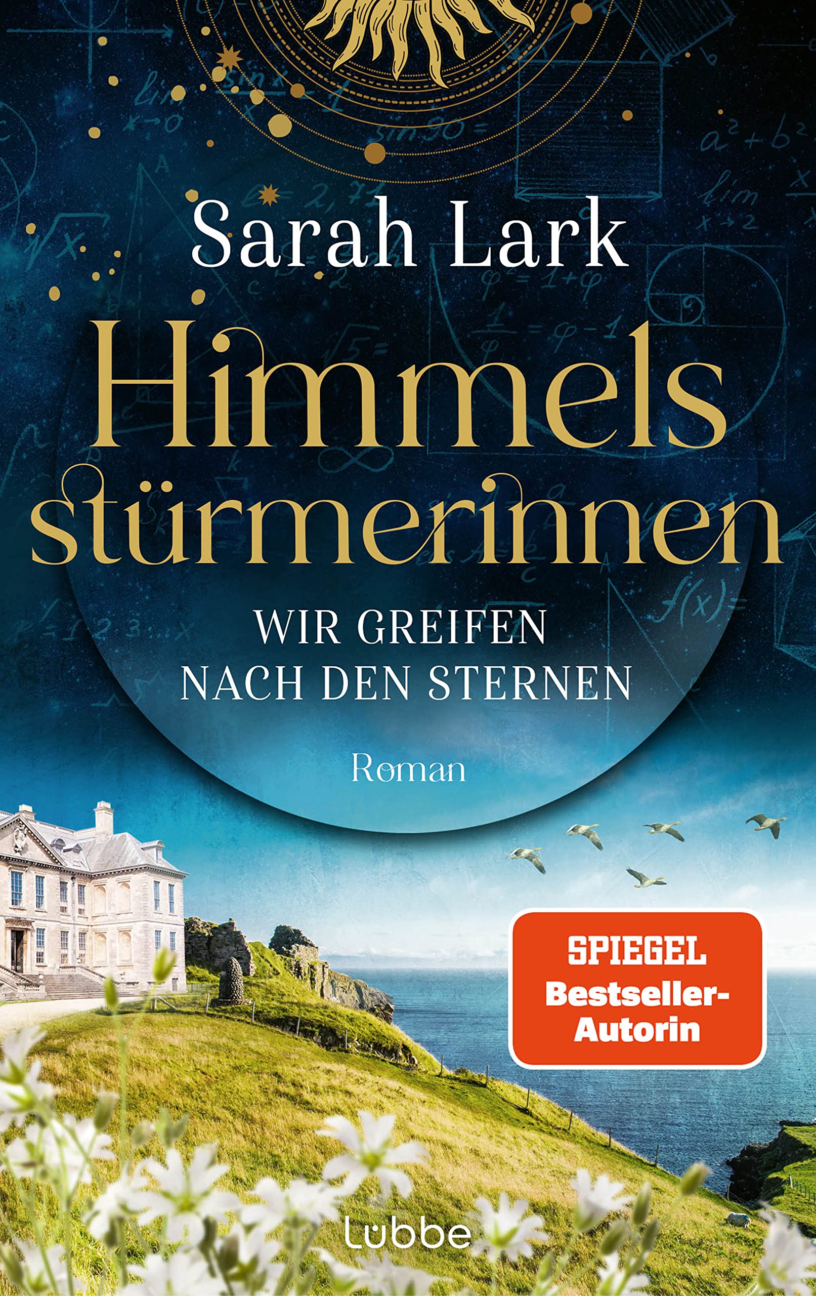 Himmelsstürmerinnen - Wir greifen nach den Sternen Contemporary literature