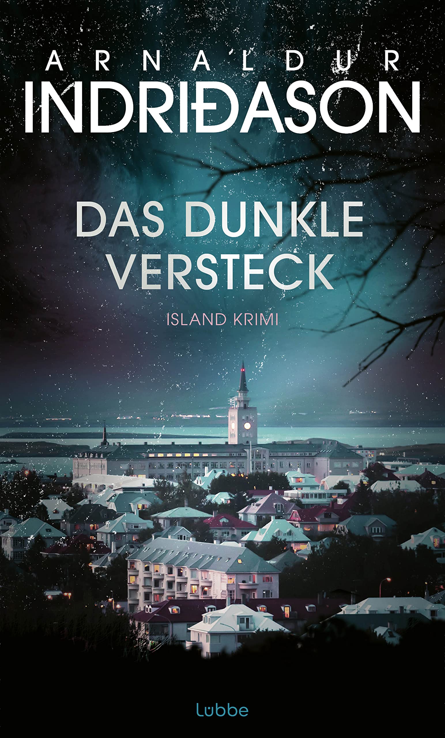Das dunkle Versteck Contemporary literature Books
