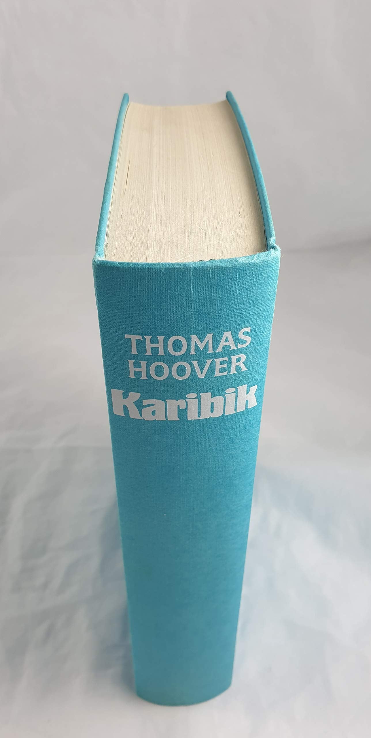 Karibik: Roman Historical Fiction