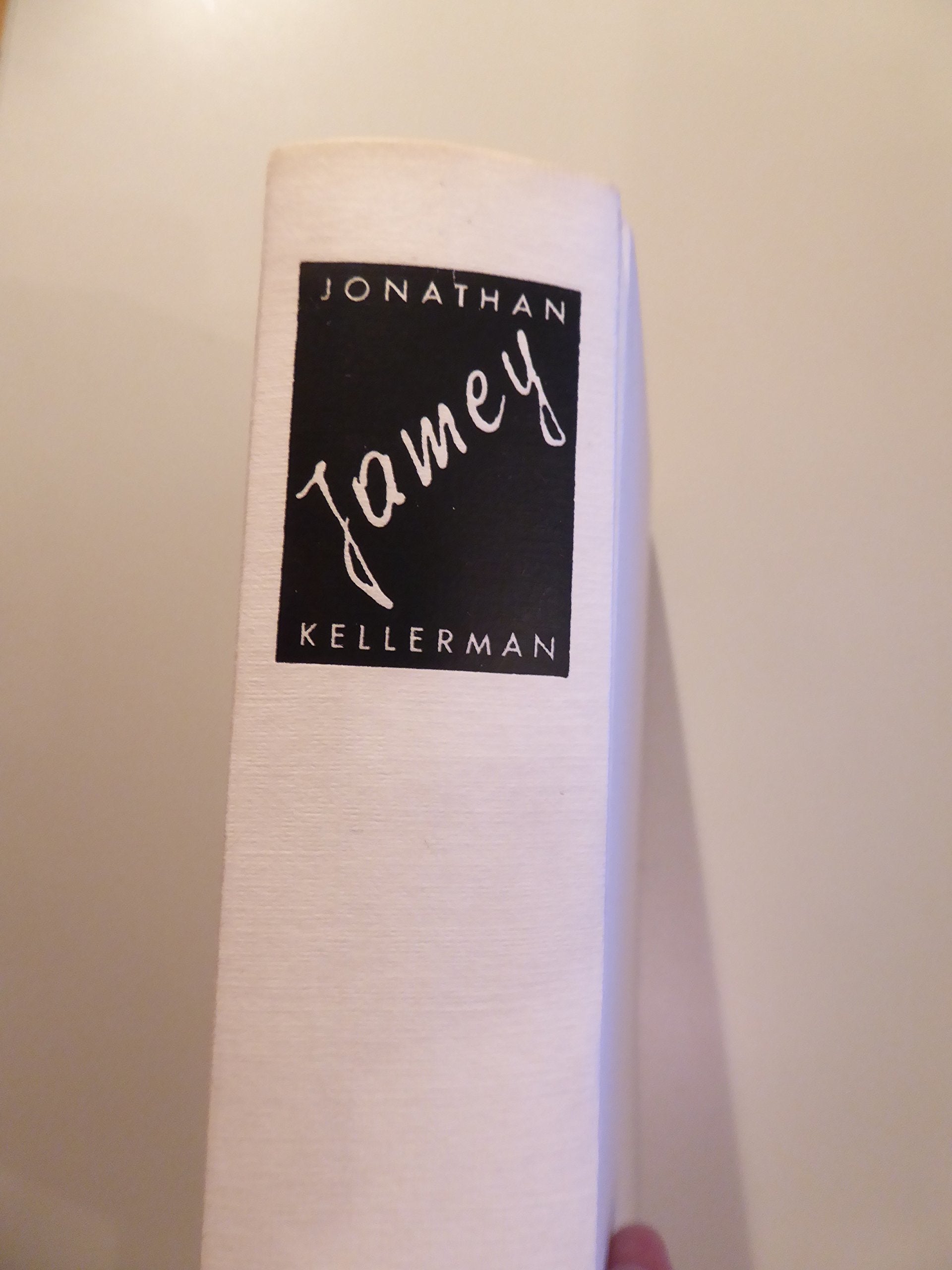 Jamey: Das Kind, das zuviel wusste. Thriller (Lübbe Belletristik) Crime & Thrillers