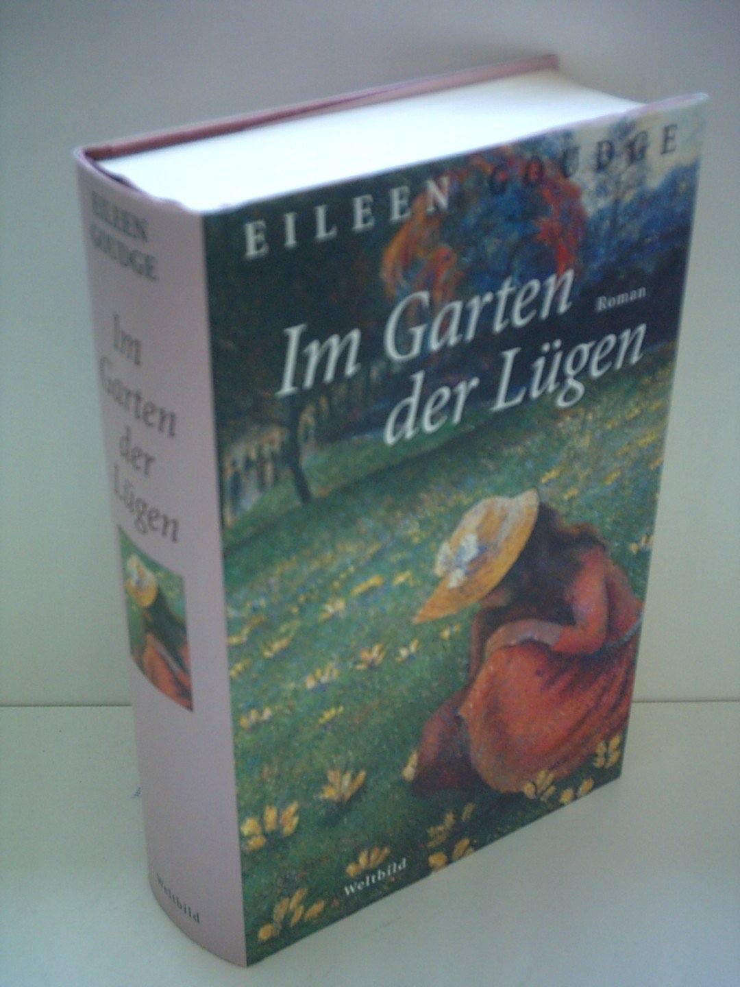 Im Garten der Lügen: Roman (Lübbe Belletristik) Leisure, Home & Garden