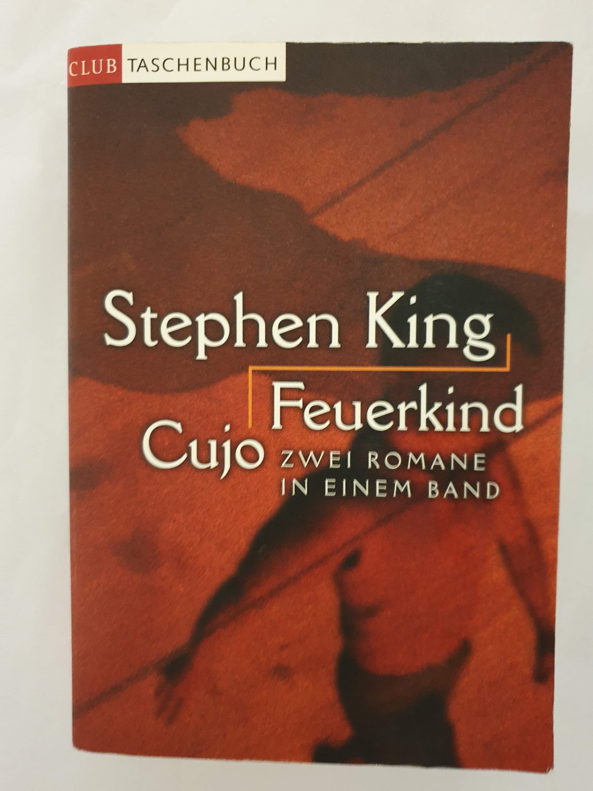 Feuerkind /Cujo: Zwei King-Klassiker in einem Band (Lübbe Belletristik) Horror & Mystery