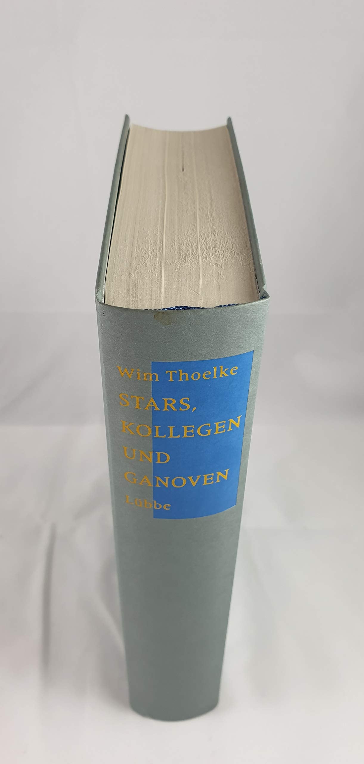 Stars, Kollegen und Ganoven: Eine Art Autobiographie Fiction