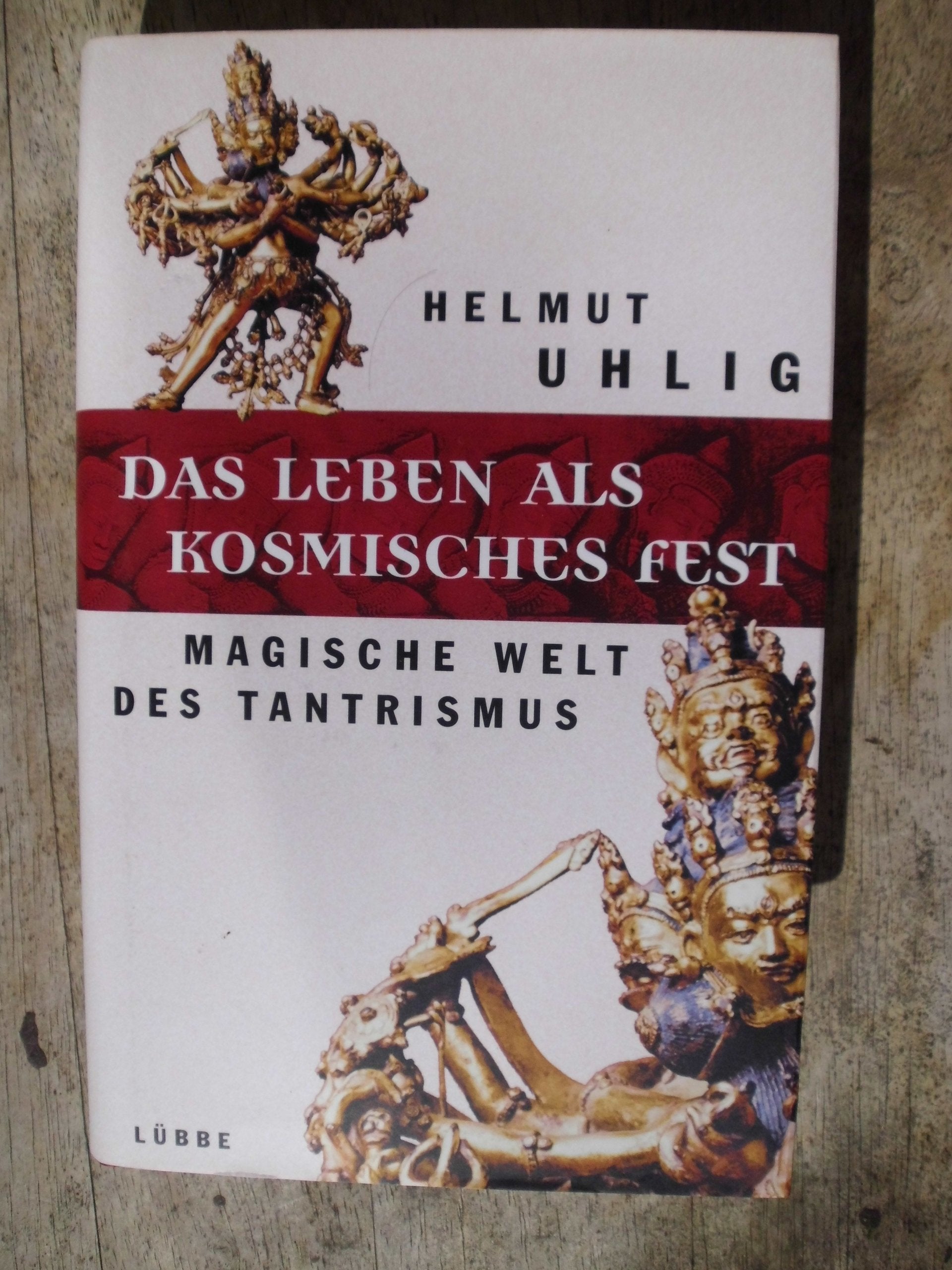 Das Leben als kosmisches Fest: Magische Welt des Tantrismus (Lübbe Östliche Philosophie) Religion & Esotericism