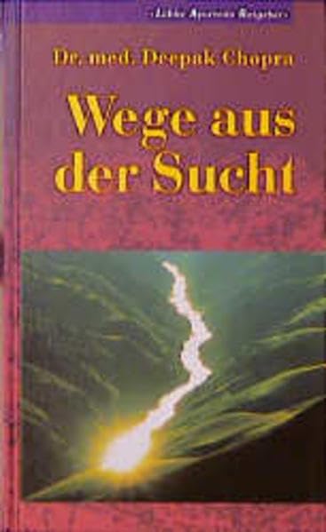 Wege aus der Sucht: Lübbe Ayurveda Ratgeber Health, Nutrition & Fitness