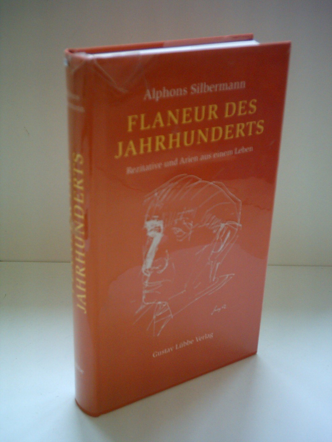 Flaneur des Jahrhunderts: Rezitative und Arien aus einem Leben (Lübbe Politik /Zeitgeschichte) Memories